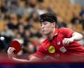 Bild: Soeren Stache/dpa
Im EM-Halbfinale: Tischtennis-Profi Dang Qiu.