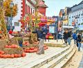 Bild: Florian Miedl
Zum Herbstmarkt haben die Verantwortlichen die Innenstadt farbenfroh dekoriert.