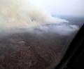 Bild: -/National Disaster Management Agency (BNPB)/dpa
Die schweren Waldbrände bedrohen Menschen und Tiere gleichermaßen.