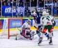 Bild: Tobias Neubert
Das erste Tor von Michael Regush im Devils-Trikot: Am Freitagabend vollendete der Kanadier auf Zuspiel von Brayden Tracey und Jordan Knackstedt.