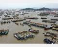 Bild: -/XinHua/dpa
Vorbereitung auf Taifun Champi