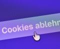 Bild: Patrick Pleul/dpa
Verbraucherschützer fordern, die Cookie-Abfrage neu zu gestalten. (Symbolbild)