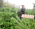 Bild: Bernd Weißbrod/dpa
Der Vorsitzende des Christbaumverbandes Baden-Württemberg, Sebastian Fertig, steht in einer Anpflanzung von Weihnachtsbäumen in Mudau im Norden Baden-Württembergs.