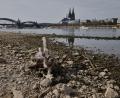 Bild: Oliver Berg/dpa
Die Wasserstände der Flüsse waren nach einer Auswertung des Science Media Center dieses Jahr extrem niedrig (Archivbild).