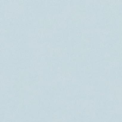 Karl Winklmann, bevollmächtigter Bezirksschornsteinfeger