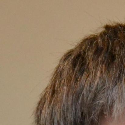 Stefan Schmidt (Grüne)