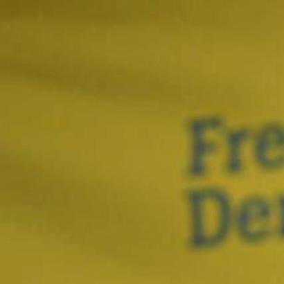Uli Lechte (FDP)