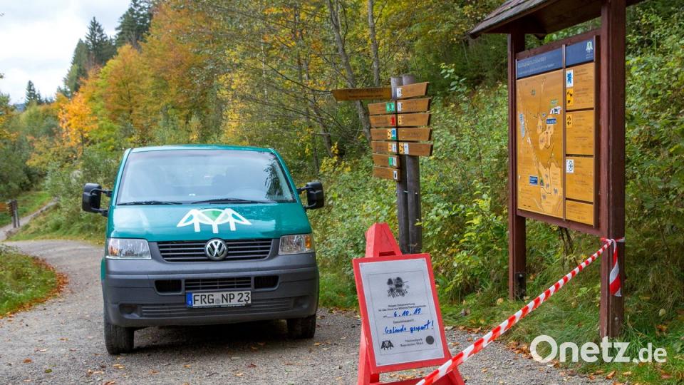 Mehrere Wölfe sind aus einem Gehege ausgebrochen, sechs der neun dort lebenden Wölfe werden vermisst. Bild: Frank Bietau/dpa