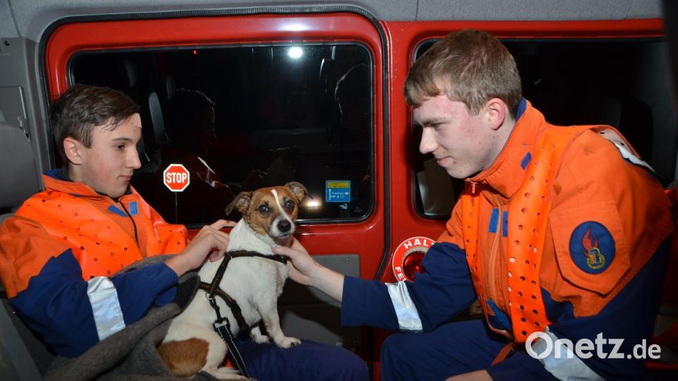 Die Vohenstraußer Jungfeuerwehrleute Adrian Walbrunn und Corbinian Kraus kümmerten sich liebevoll um den verschreckten Hund, der den Unfall unbeschadet überstand. Elisabeth Dobmayer