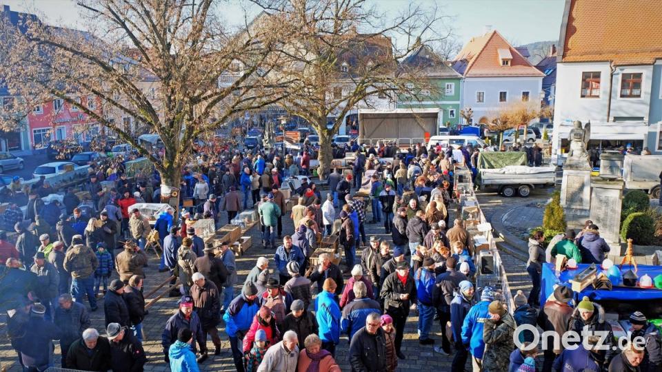 Der Pfreimder Marktplatz war am Aschermittwoch wieder ganz in der Hand der Tauben- und Geflügelzüchter. 	Bilder: twi (3)