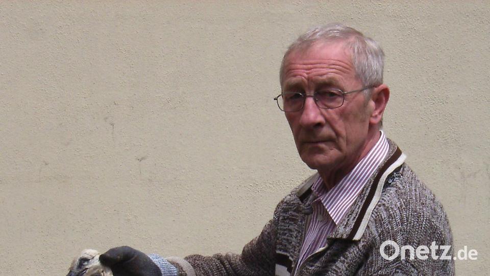 Das war sehr schmerzhaft für den Storchenbeauftragten Hans Iberer: 2013 fielen vier junge Störche der Nässe und Kälte zum Opfer.