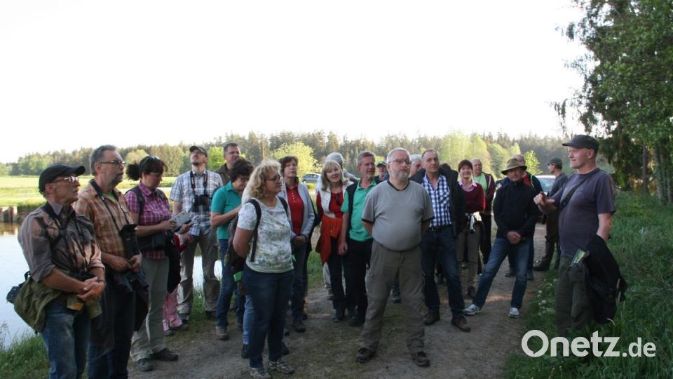Während der rund zweistündigen Wanderung entlang der Muckenthaler Teiche gab es allerhand zu entdecken und zu hören. Geleitet wurde der Exkurs von Erwin Möhrlein (rechts).  	Bild: wro