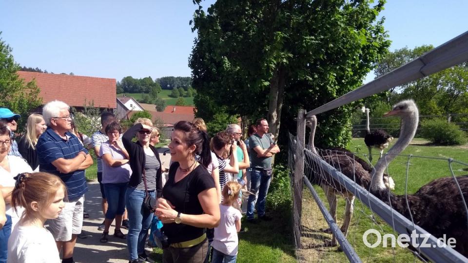 So nahe kommen die Mitglieder des Obst- und Gartenbauvereins einem Strauß nicht allzu oft.