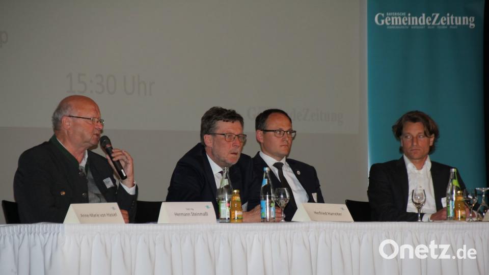Auf dem Podium beim sechsten Wasserkraftforum diskutierten (von links) Hermann Steinmaßl, Herfried Harreiter, Josef Rampl und Christoph Rapp.