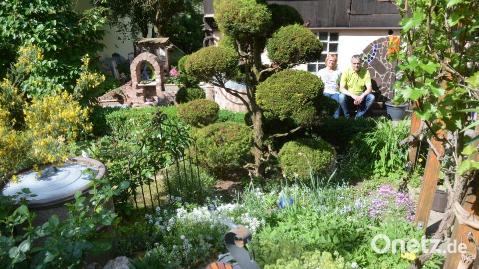 Was für ein Gegensatz: Im Garten von Christine Görner und Norbert Vogelsteller in der Mooslohstraße grünt und blüht es gewaltig.  	Bild: Schönberger