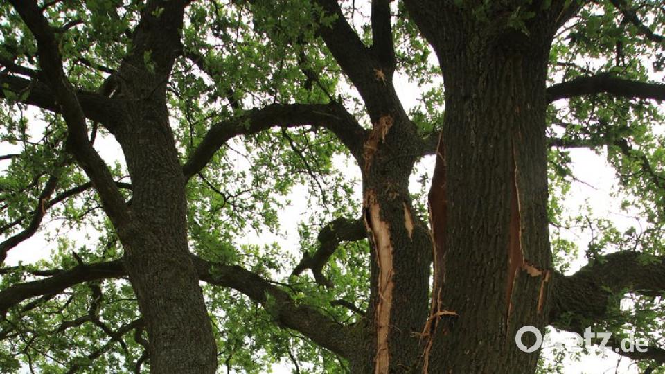 das Kutzer Kreuz ist weg