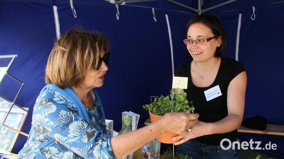 Die Natur mit allen Sinnen genießen: Das ist nicht nur im Waldnaabtal, sondern auch bei Marlene Weiß (rechts) am Infostand der Steinwald-Allianz möglich. Angesagt ist Kräuterraten.  	Bild: wro