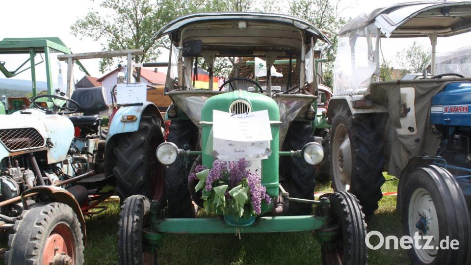 Lasst Blumen sprechen: Mit jahreszeitgemäßem Blütenschmuck waren viele der Schlepper-Oldies geschmückt. Bild: bjp