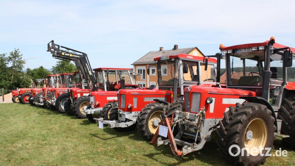 Rote Front: Innovativ und beliebt waren die Schlepper der Freisinger Firma Schlüter, die rund um Weiden noch immer einen festen Freundeskreis besitzen. Bild: bjp