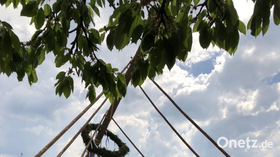 Mit purer Muskelkraft stemmen die Gembecker Burschen den Kirwabaum in die Höhe. 	Bild: exb