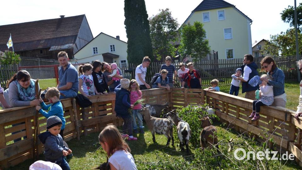 Auf dem Ödpielmannsberger Dorfplatz geht es rund. Besonders für die kleinen Besucher gab es viel Unterhaltung wie hier im Gehege mit den Ziegen und zwei kleinen Zicklein von Karl Eckl.  	Bild: gi