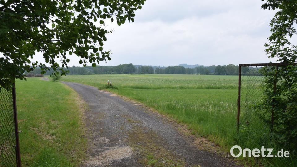 Auf der ehemaligen Bauschuttdeponie nahe Höflas sollte der PV-Park der &quot;Neue Energien West eG&quot; entstehen. Nun stehen die Planungen mit dem Breitbandausbau im Konflikt.	Bild: mde