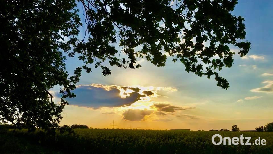 Die Oberpfalz im Sommer Mario Benz