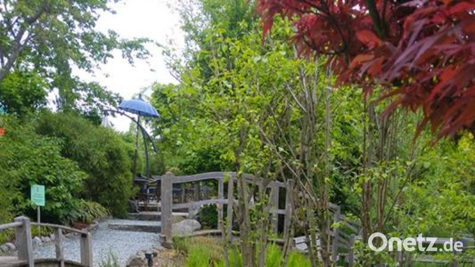 Die Oberpfalz im Sommer Romi Van Cat Götz