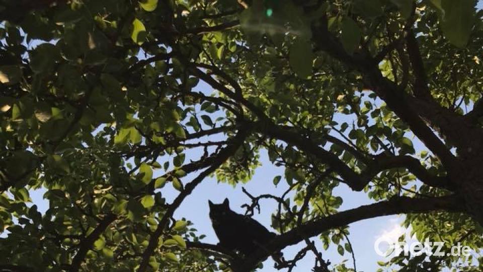 Die Oberpfalz im Sommer Michelle Pushard