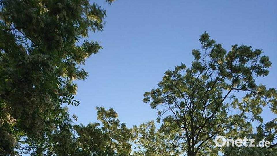 Die Oberpfalz im Sommer Monika Speckner