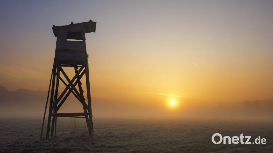 Die Oberpfalz im Sommer Lena Held