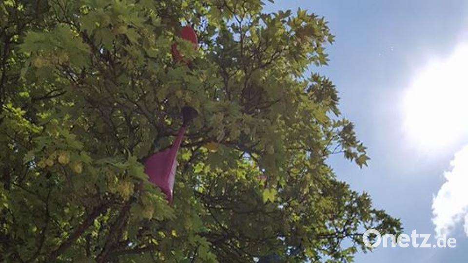 Die Oberpfalz im Sommer Steff Knorr