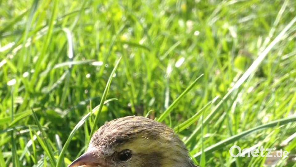 Die Oberpfalz im Sommer Achim Lindner