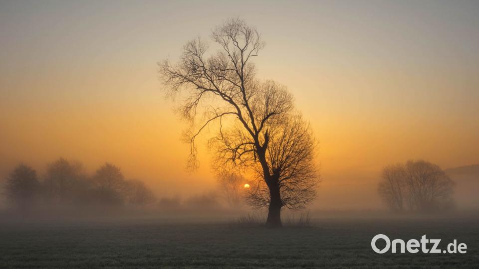 Die Oberpfalz im Sommer Lena Held