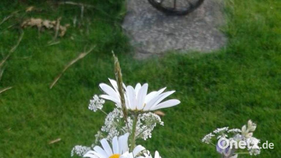 Die Oberpfalz im Sommer Christine Biene