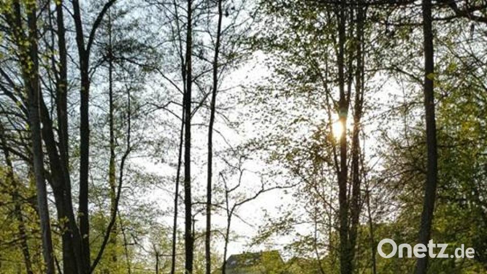 Die Oberpfalz im Sommer Lydia Fischer