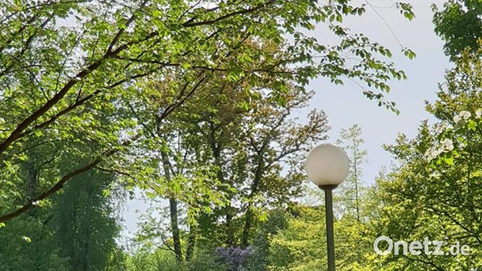 Die Oberpfalz im Sommer Melanie Bracht