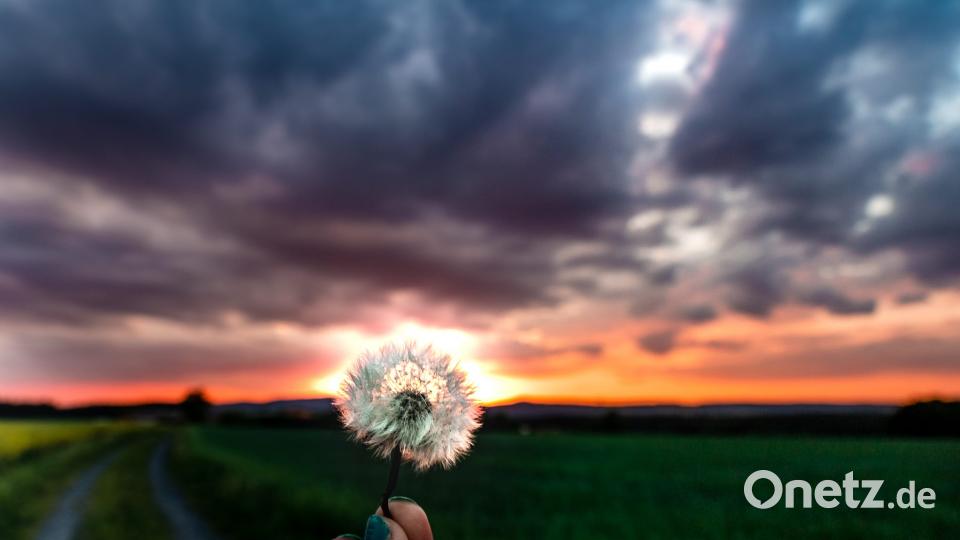 Die Oberpfalz im Sommer Petra Patocka