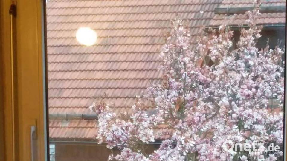 Die Oberpfalz im Sommer Romi Van Cat Götz