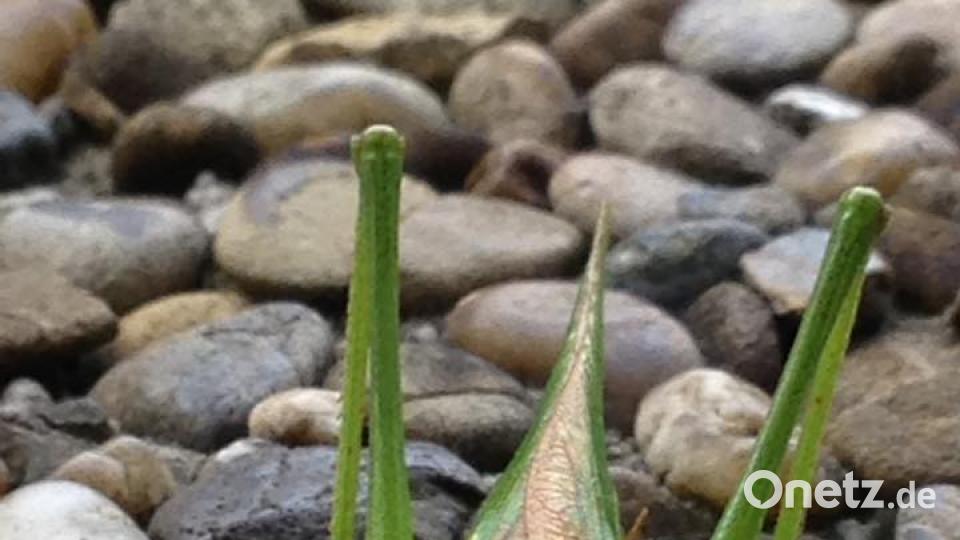 Die Oberpfalz im Sommer Achim Lindner
