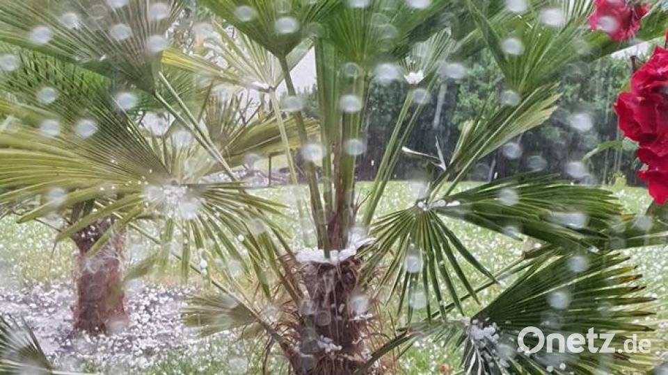 Unwetter Alexandra Schertl
