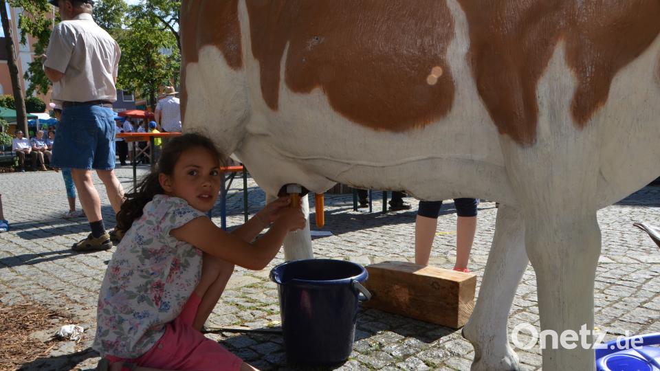 Bauernmarkt 2018 Dobmayer, Elisabeth [DOB] (DOBVOH@T-ONLINE.DE)