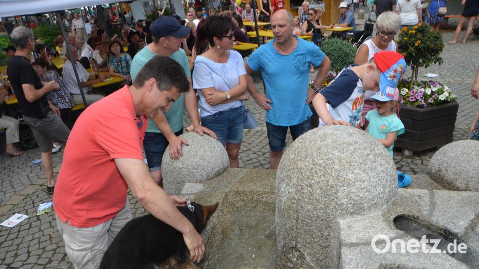 Bauernmarkt 2018 Foto: Elisabeth Dobmayer