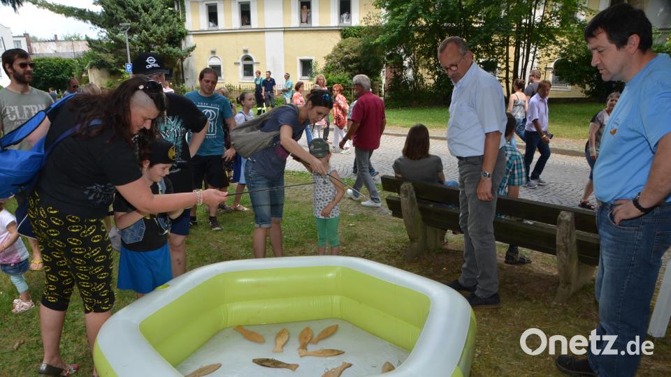 Bauernmarkt 2018 Foto: Elisabeth Dobmayer