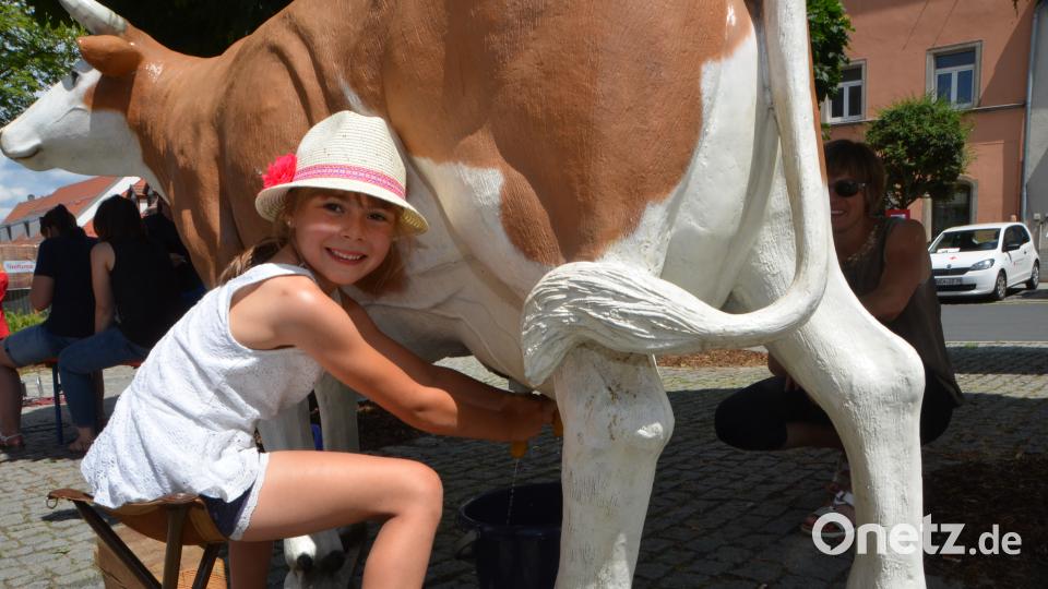 Bauernmarkt 2018 Foto: Elisabeth Dobmayer