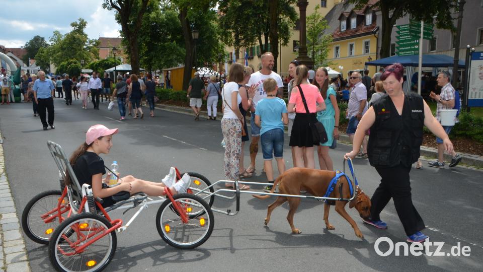 Bauernmarkt 2018 Foto: Elisabeth Dobmayer