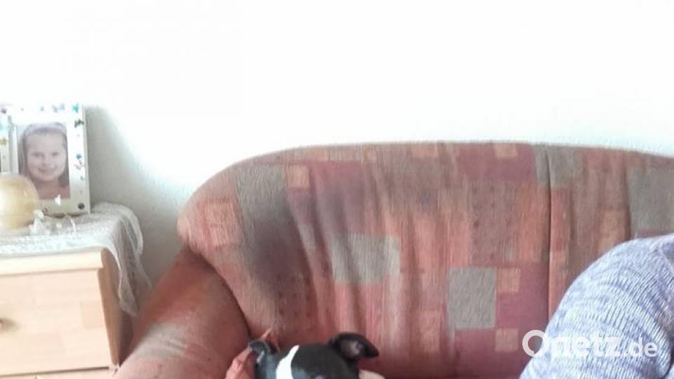 Tag des Hundes Sabine Fellner