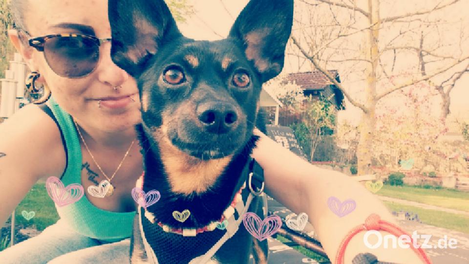 Tag des Hundes Nathalie Böckl