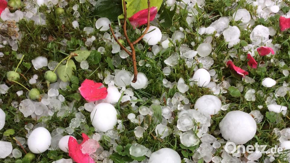 Hagelkörner in einem Garten in Neustadt/WN Martin Staffe