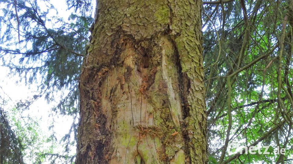 Mit dem Radl zum Bergfest: Diesmal geht es auf den Johannisberg bei Freudenberg. Robert Stammler